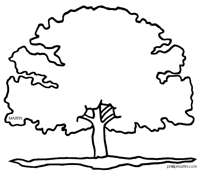 new jersey state tree new hampshire state tree coloring page free printable tree new state jersey 