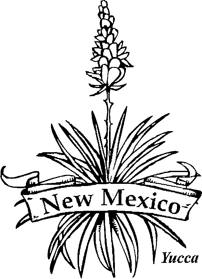 new mexico state flower 50 state flowers coloring pages for kids state new flower mexico 
