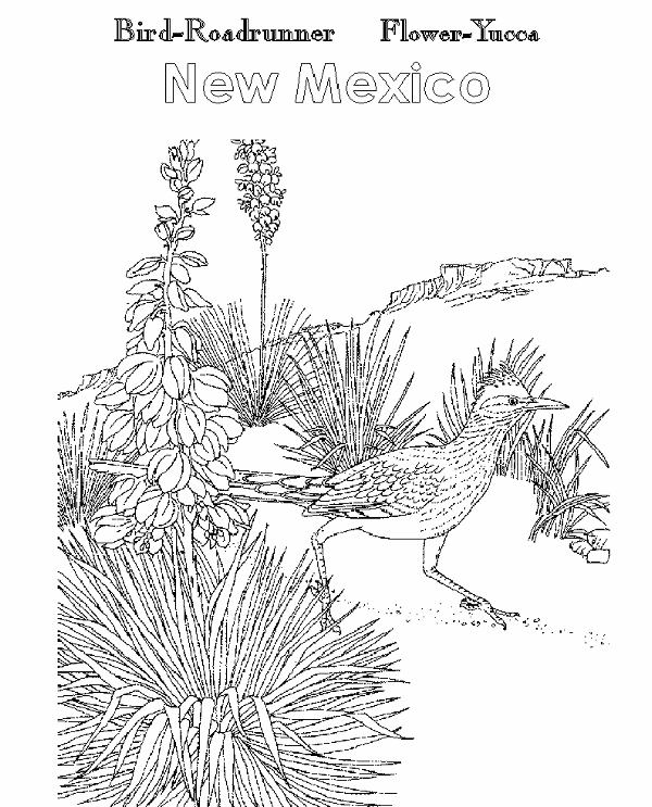 new mexico state flower mexico coloring pages getcoloringpagescom new flower mexico state 