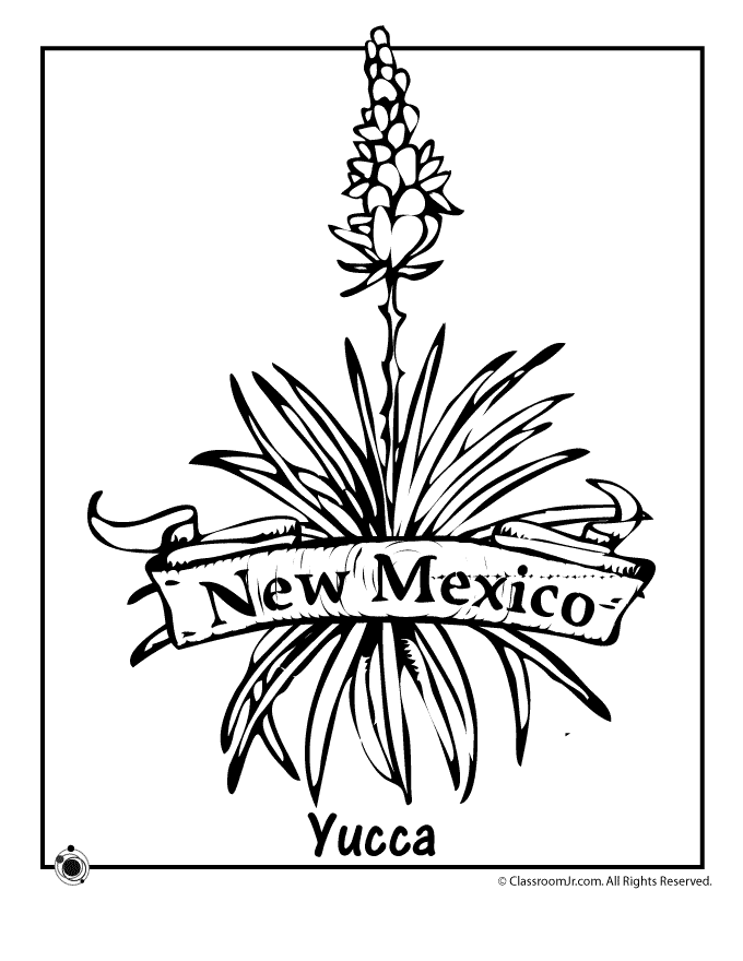 new mexico state flower new mexico state flower coloring page woo jr kids state flower mexico new 