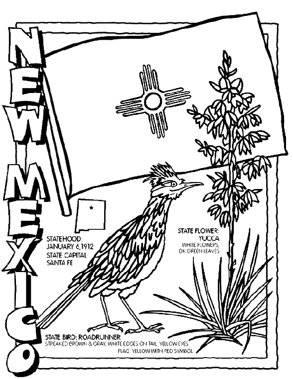 new mexico state flower new mexico state symbols coloring page free printable mexico new flower state 