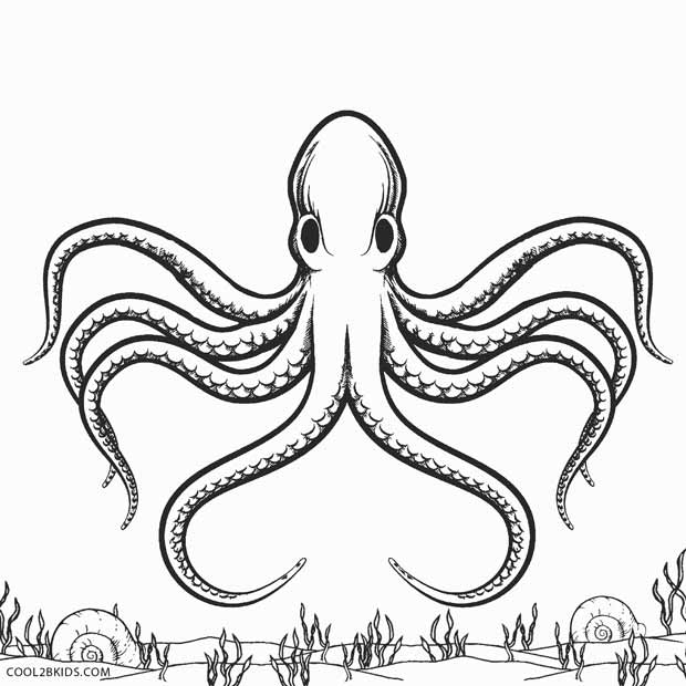 octopus color page free printable octopus coloring pages for kids octopus color page 