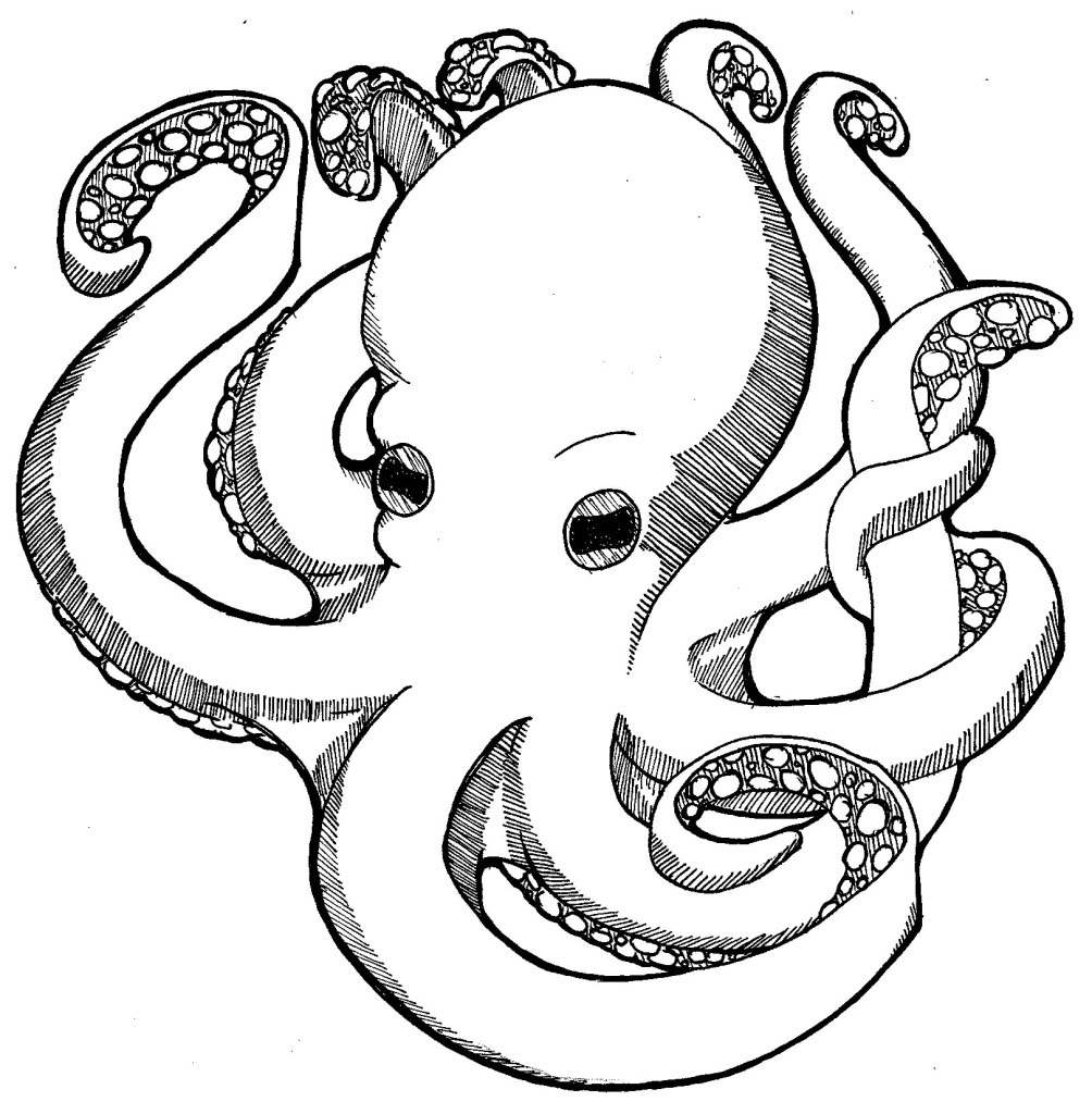 octopus color page printable octopus coloring page for kids cool2bkids octopus page color 