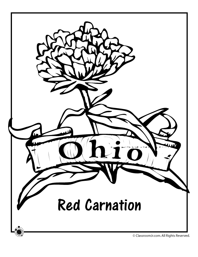ohio state tree coloring page brutus buckeye drawing at getdrawingscom free for tree page state ohio coloring 