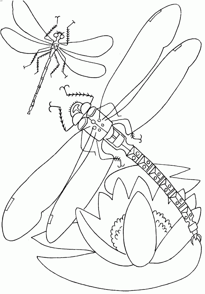 online coloring for toddlers free printable dragonfly coloring pages for kids for online coloring toddlers 