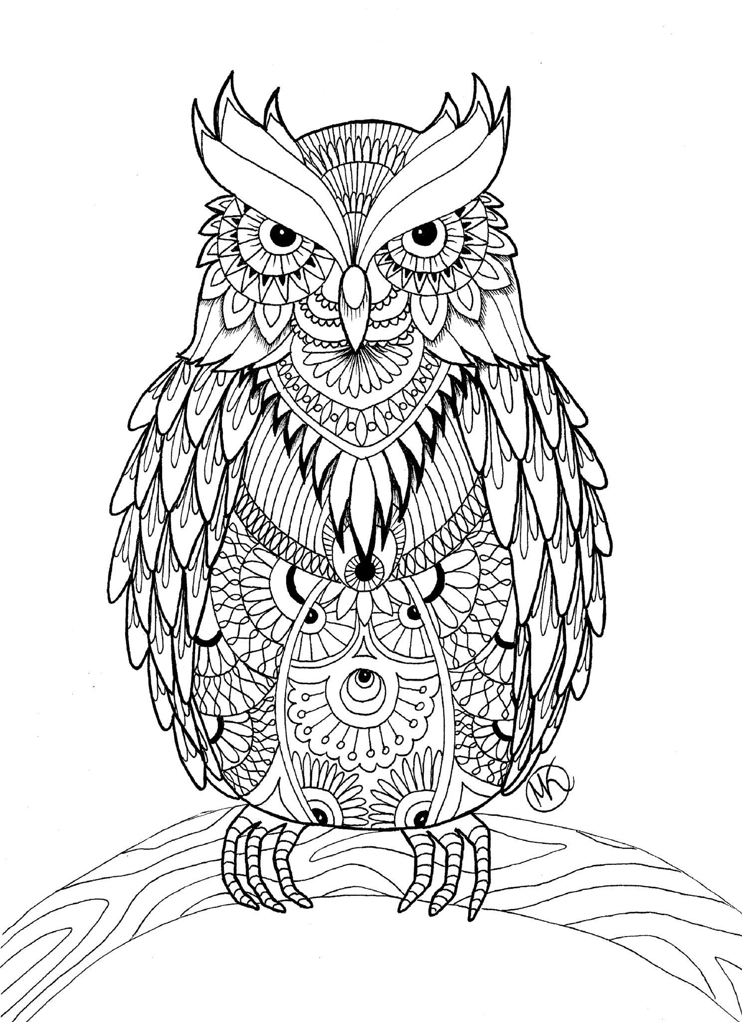 owl coloring page adult owl coloring page getcoloringpagescom owl coloring page 