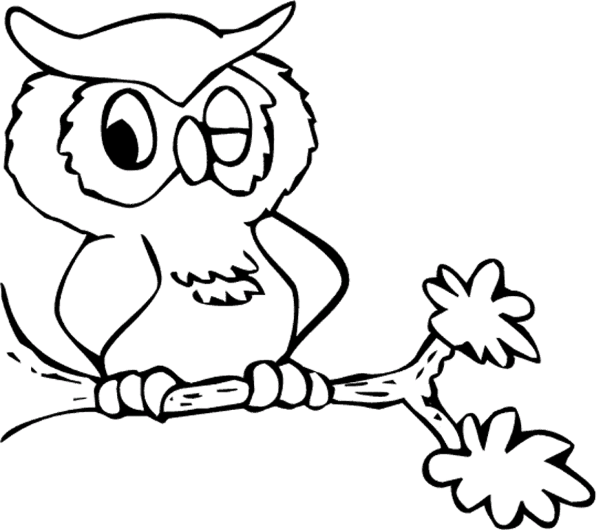 owl coloring page selimut ku cute lil39 owl owl page coloring 