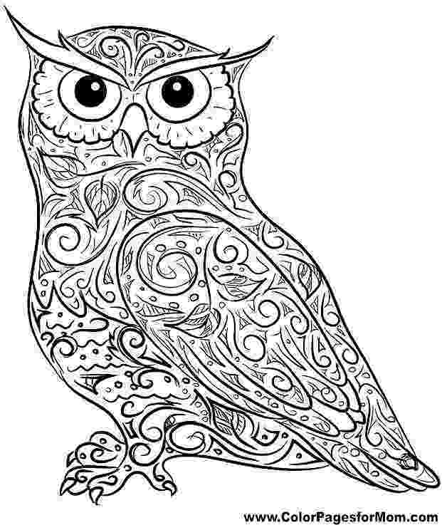 owl pictures to print and color coloring pages of owls to print owl coloring page 29 print color pictures owl and to 