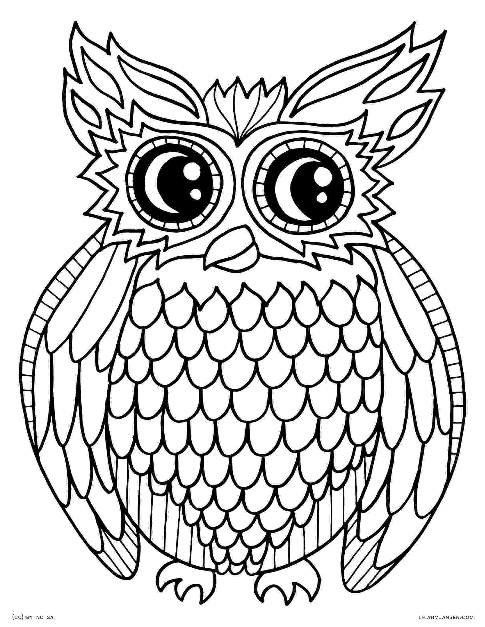 owl pictures to print and color coloring pages print and pictures to color owl 