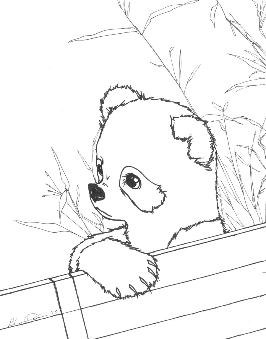 panda coloring page cute panda bear coloring pages for kids gtgt disney coloring panda coloring page 