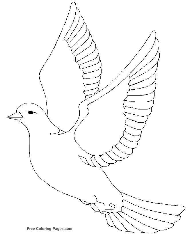 parrot print out free printout for a dove pattern color online printable out print parrot 