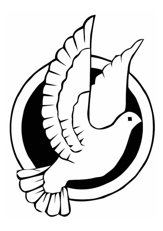 peace dove coloring page 19 best doves images on pinterest white people holy peace dove page coloring 