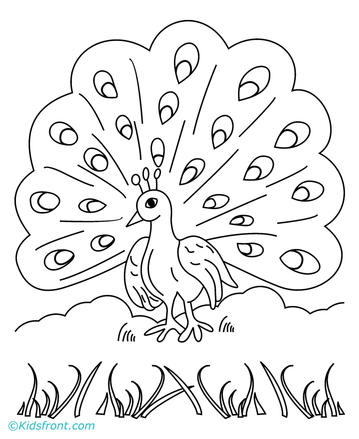 peacock coloring free printable peacock coloring pages for kids peacock coloring 