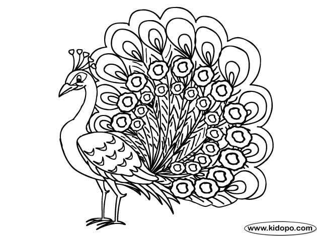 peacock coloring peacock drawing outline for glass painting at getdrawings peacock coloring 