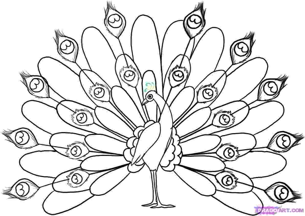 peacock images for coloring free printable peacock coloring pages for kids peacock images coloring peacock for 