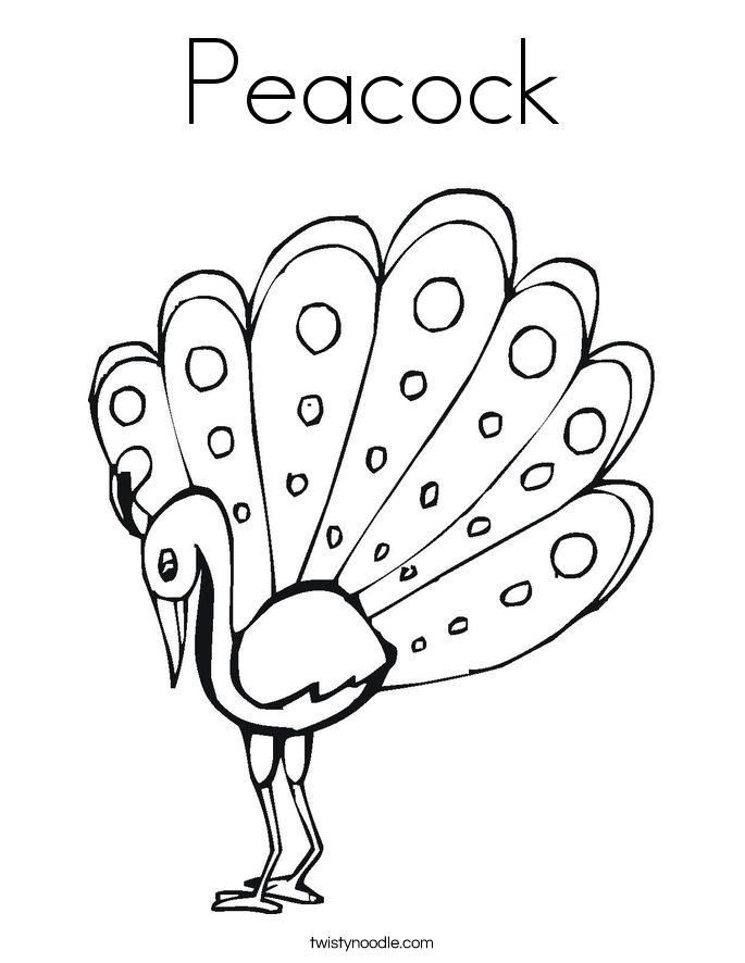 peacock images for coloring peacock coloring page twisty noodle for coloring peacock images 