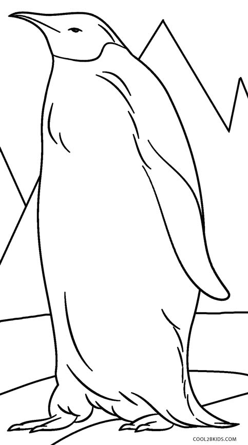 penguin colouring page cute baby penguin coloring page free printable coloring colouring page penguin 