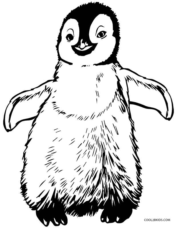 penguin colouring page penguin coloring pages minister coloring colouring penguin page 