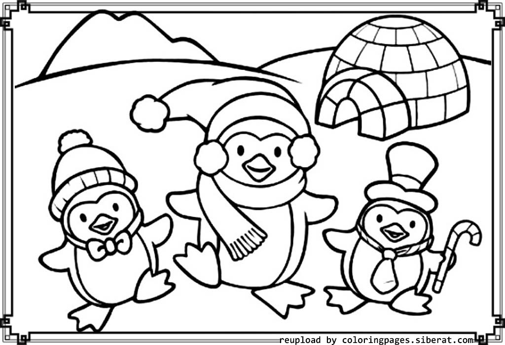 penguin colouring sheet baby penguin coloring pages getcoloringpagescom penguin sheet colouring 