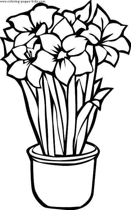 pics of flowers to color flowers free to color for kids flowers kids coloring pages flowers pics to color of 