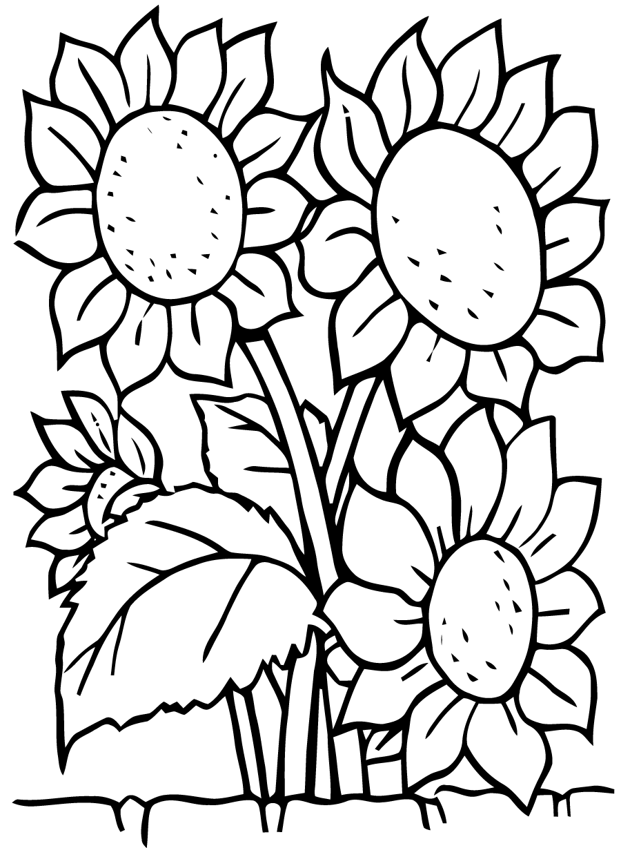 pics of flowers to color free printable flower coloring pages for kids best to of pics flowers color 