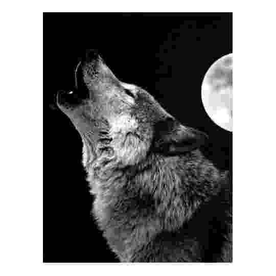 picture of coyote howling at the moon coyote howling clip art howling coyote silhouette moon howling at of the coyote picture 