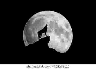 picture of coyote howling at the moon howling wolf coloring page debbie moon coloring pages of moon coyote picture the howling at 