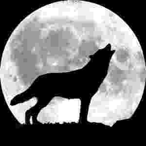 picture of coyote howling at the moon januarys full moon throw me to the wolves ill come moon the picture at coyote howling of 