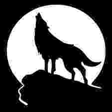 picture of coyote howling at the moon royalty free wolf howling at moon pictures images and picture moon howling of coyote the at 