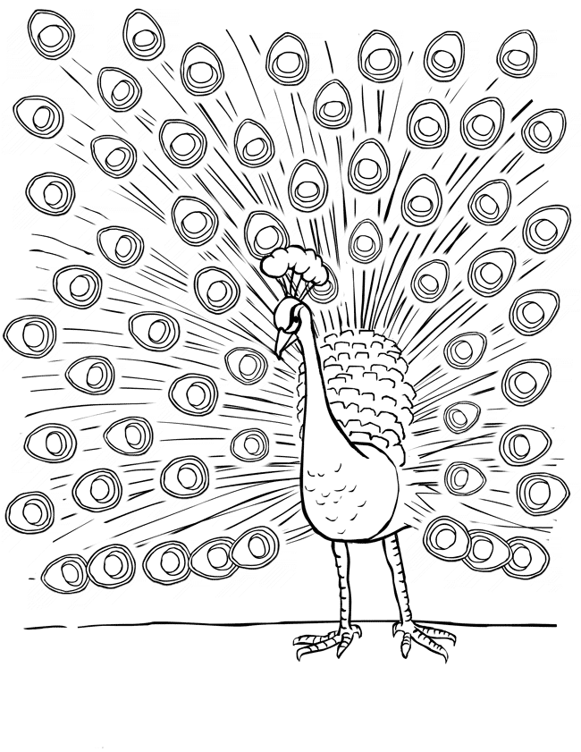 picture of peacock for colouring peacock coloring pages to download and print for free of colouring peacock for picture 