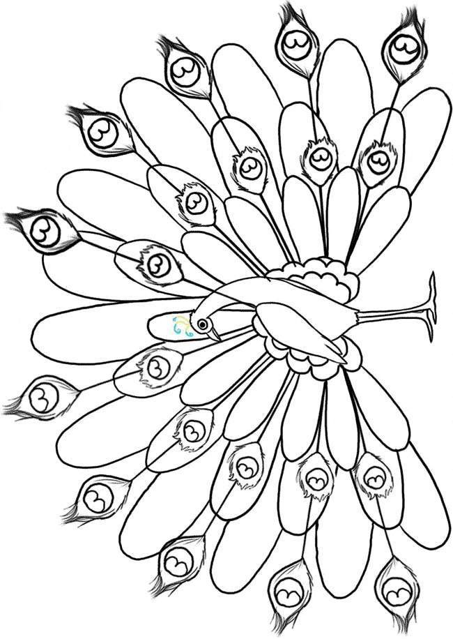 picture of peacock for colouring peacock printable coloring pages picture of peacock for colouring 