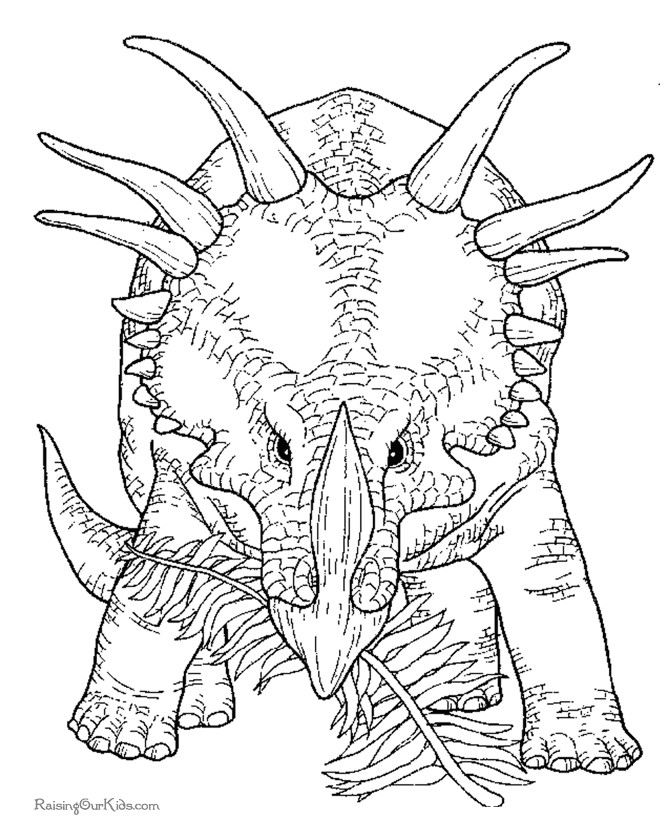 picture triceratops free printable triceratops coloring pages for kids picture triceratops 