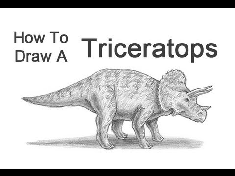 picture triceratops gorgosaurus natural history museum picture triceratops 