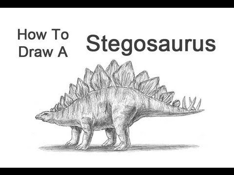 pictures of a stegosaurus stegosaurus by alnus on deviantart of pictures a stegosaurus 