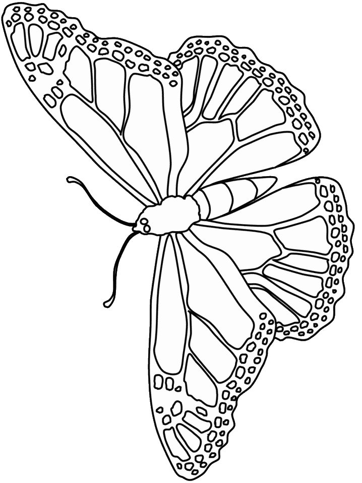 pictures of butterflies to color butterfly coloring pages 91 260168 high definition of to pictures butterflies color 