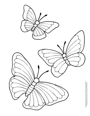 pictures of butterflies to color butterfly coloring pages free printable from cute to pictures color butterflies of to 