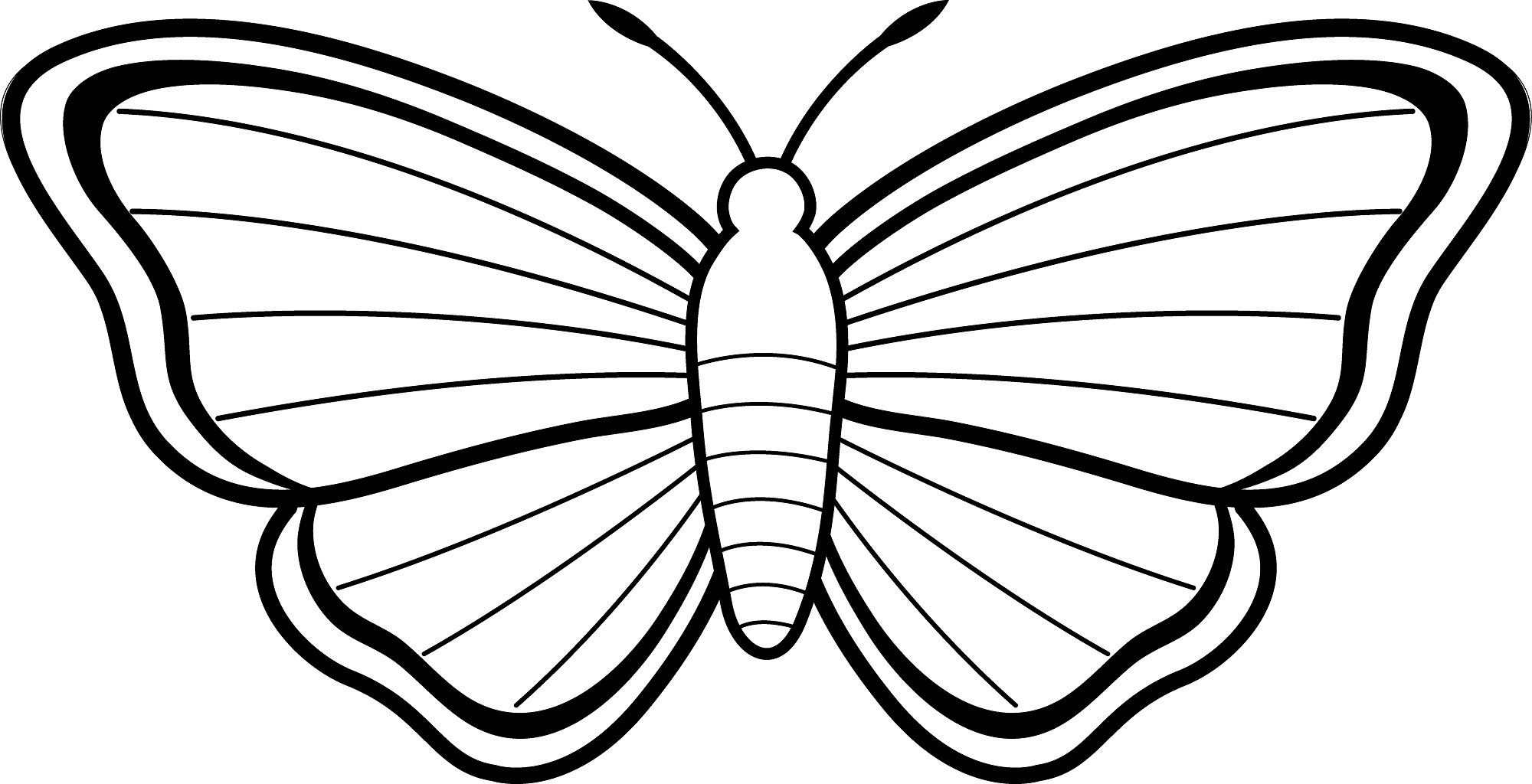 pictures of butterflies to color free printable butterfly coloring pages for kids butterflies color of pictures to 