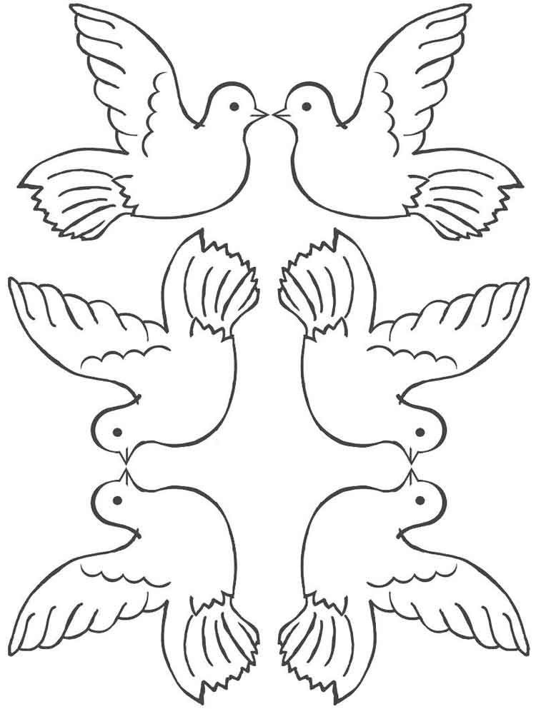 pictures of doves to color dove coloring pages download and print dove coloring pages pictures to of color doves 