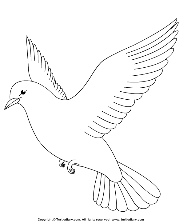 pictures of doves to color dove coloring sheet turtle diary pictures color to of doves 