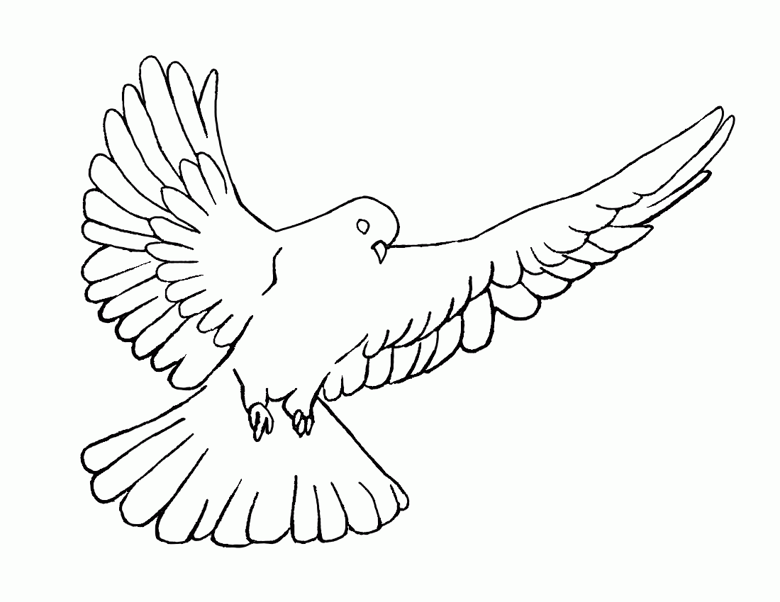 pictures of doves to color white dove coloring page coloring home to pictures color of doves 