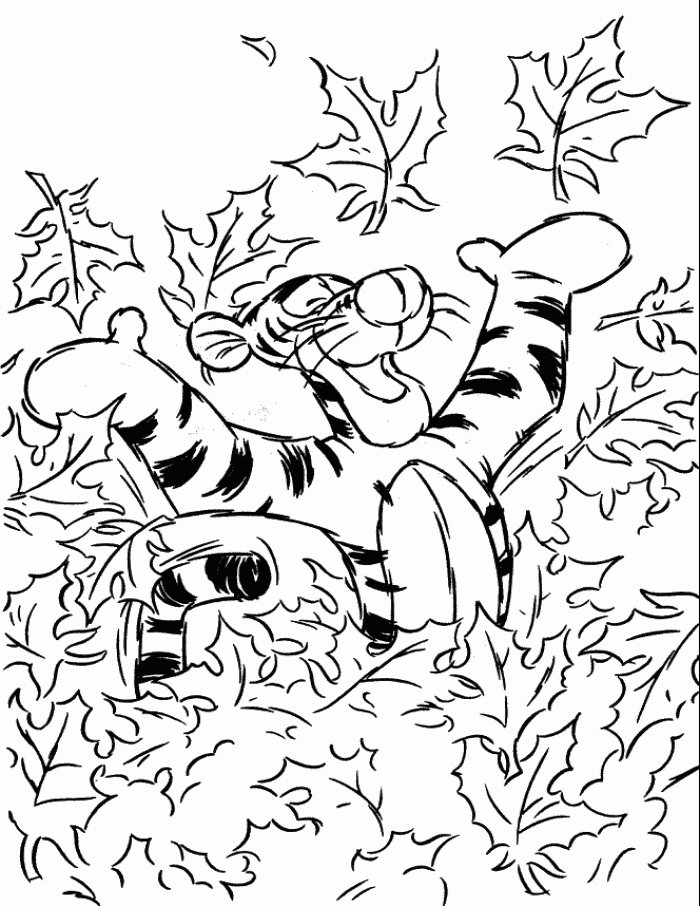 pictures of fall leaves to color autumn leaves coloring page fall coloring pages leaf fall color pictures leaves of to 