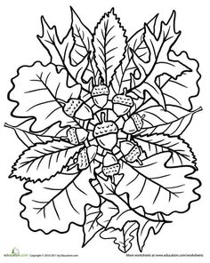 pictures of fall leaves to color free printable fall coloring pages for kids best pictures fall to of leaves color 