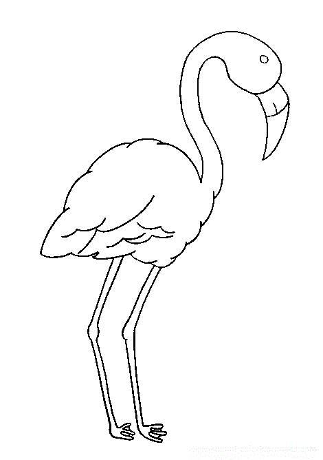pictures of flamingos to print flamingo coloring pages to download and print for free print to flamingos of pictures 