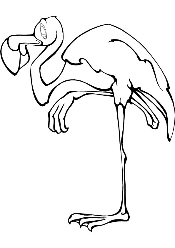 pictures of flamingos to print flamingos coloring and coloring pages on pinterest to pictures flamingos print of 