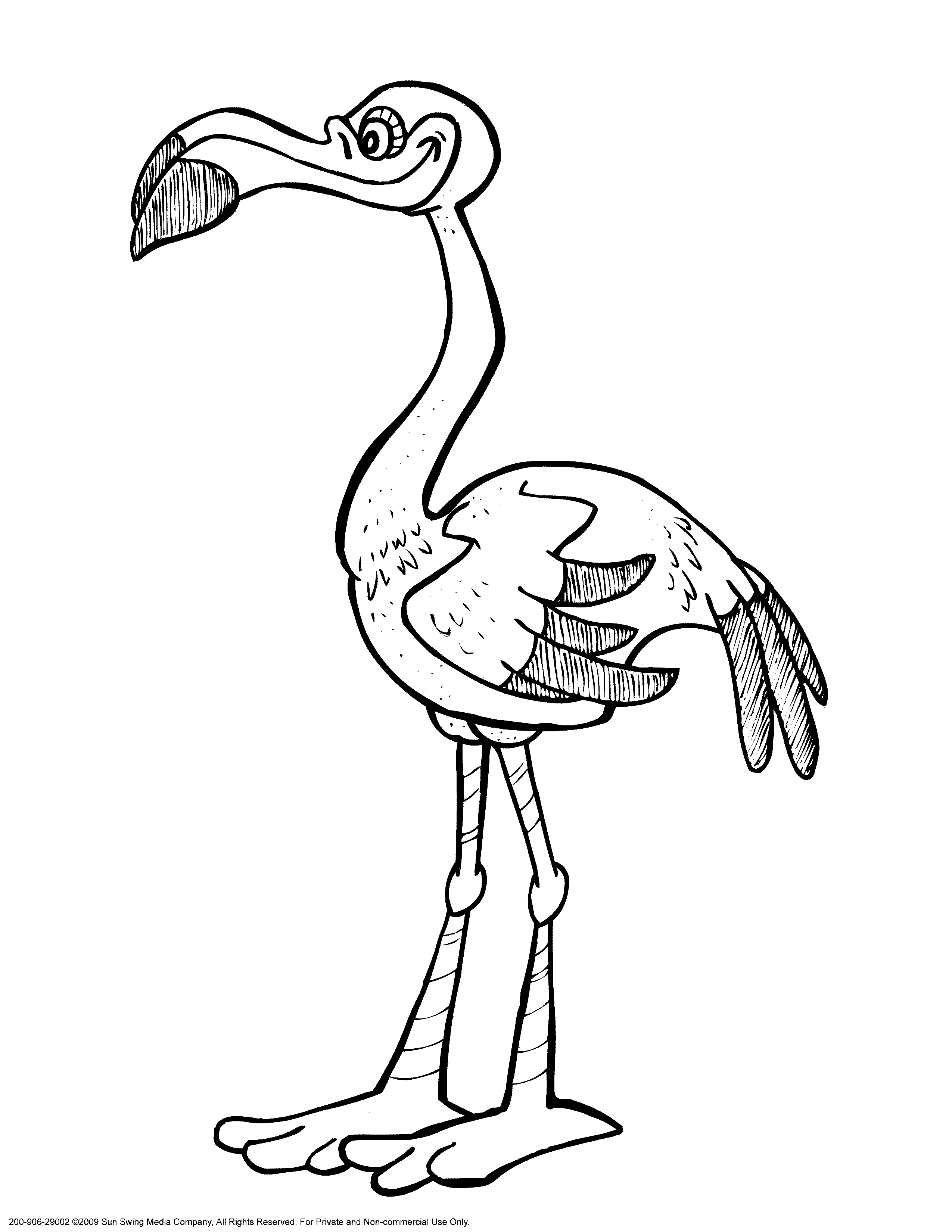 pictures of flamingos to print flamingos coloring pages to kids pictures print to of flamingos 