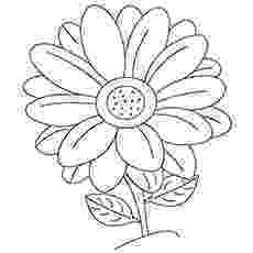 pictures of flowers to print and colour free printable flower coloring pages for kids best flowers to print colour pictures and of 