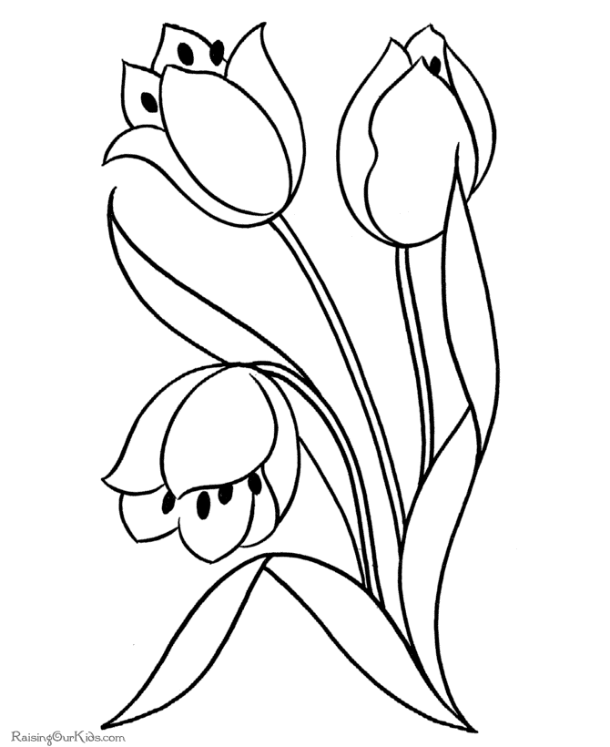 pictures of flowers to print and colour free printable flower coloring pages for kids best to of pictures flowers print and colour 