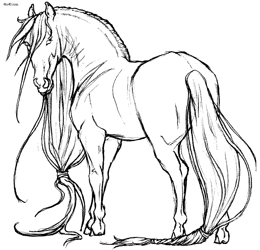 pictures of horses to color and print horse coloring pages for adults best coloring pages for kids pictures print of to color and horses 