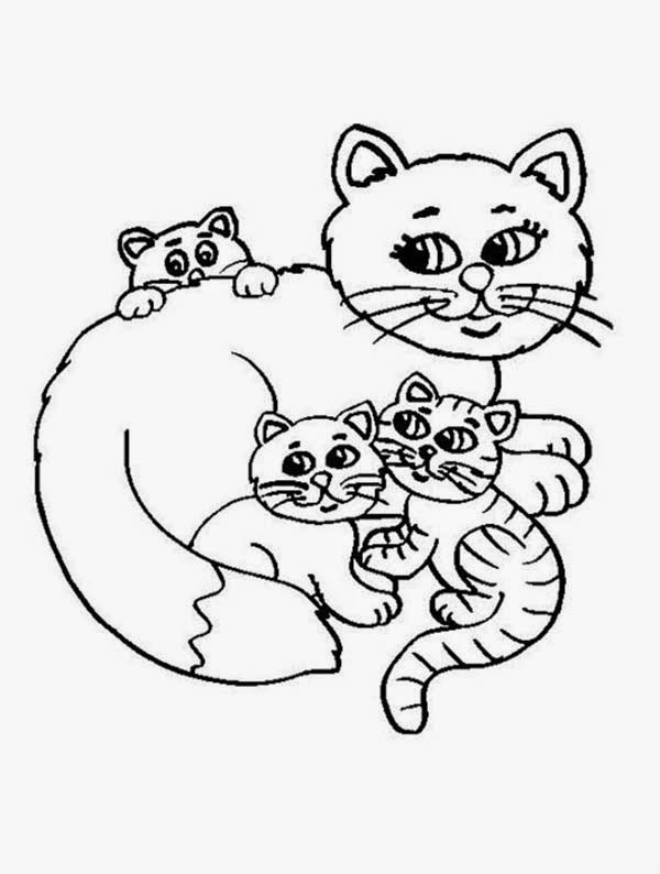 pictures of kittens to color navishta sketch sweet cute angle cats of kittens pictures color to 