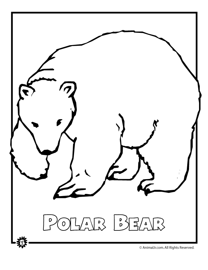 polar bear printables free printable polar bear coloring pages for kids bear polar printables 